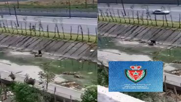 فيديو الاعتداء على فتاة داخل مجرى مياه يحرك أمن طنجة