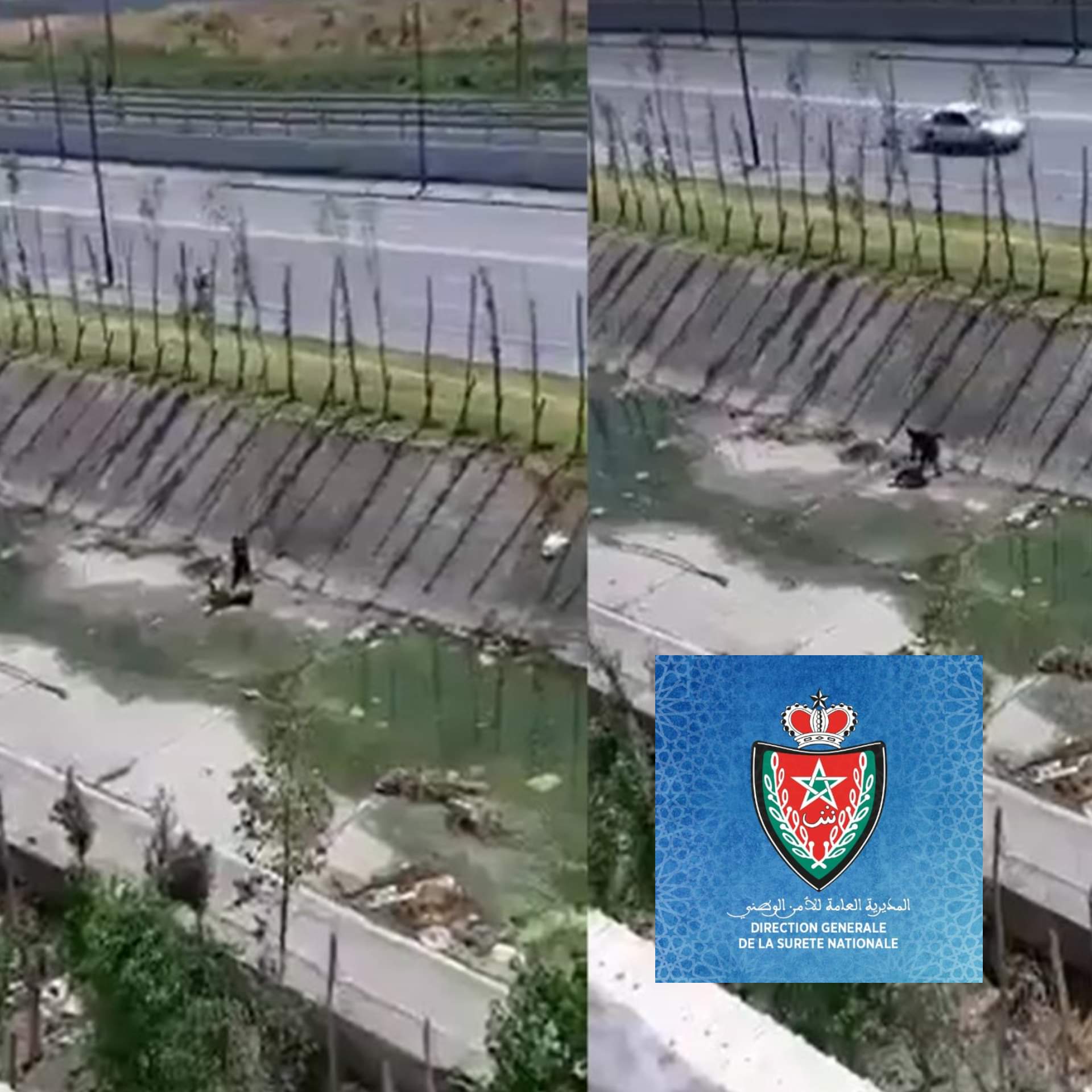 فيديو الاعتداء على فتاة داخل مجرى مياه يحرك أمن طنجة