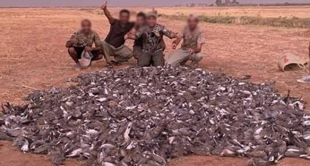 حجز بنادق لدى مغاربة برفقة خليجيين كانوا في رحلة قنص بضواحي تارودانت