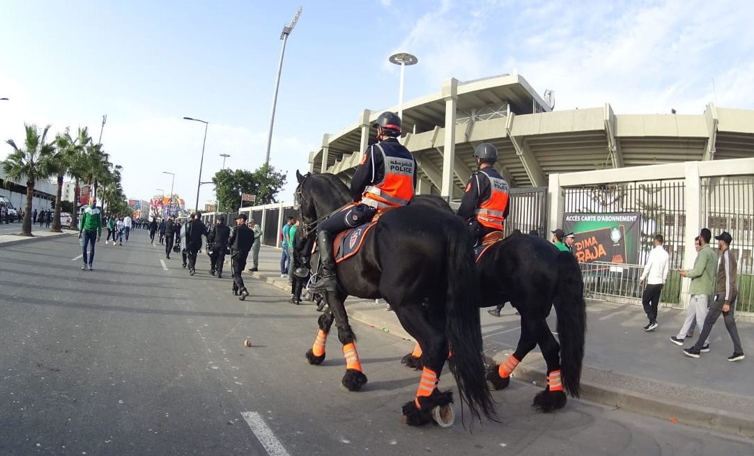 مصدر أمني يكشف حقيقة وفاة شرطي في «الديربي العربي» بين الوداد والرجاء