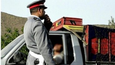 درك تادلة يحبط تهريب كمية من نبتة “أزير”