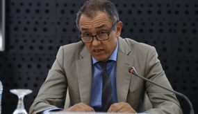 المجلس الاقتصادي والاجتماعي والبيئي يقترح تسع خيارات كبرى تحدد معالم النموذج التنموي الجديد