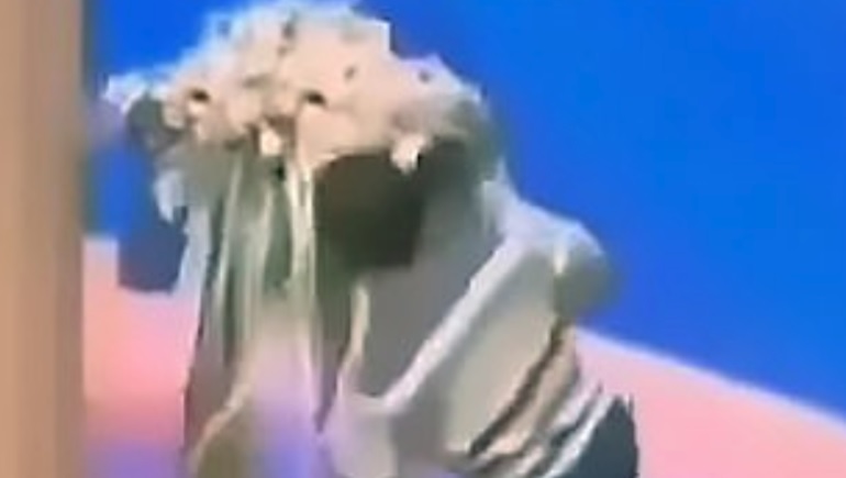 وفاة رئيس شركة أدوية أثناء تقديمه نصائح عن طول العمر (فيديو)