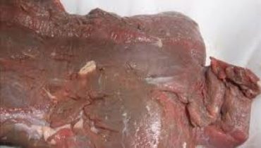 بورزازات حجز ما يقارب النصف طن من اللحوم الفاسدة و منتجات غذائية أخرى