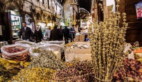 تحذير من الصحة من استعمال الشيح والقرنفل والأكالبيبتوس لعلاج «كورونا»