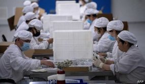 Workers package rabies vaccine at a lab at the Yisheng Biopharma company, where researchers are trying to develop a vaccine for the COVID-19 coronavirus, in Shenyang, in China's northeast Liaoning province, on June 9, 2020. - China has mobilised its army and fast-tracked tests in the global race to find a coronavirus vaccine, and is involved in several of the dozen or so international clinical trials currently under way. (Photo by NOEL CELIS / AFP)