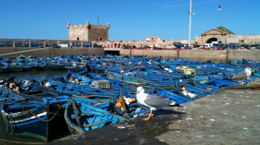 “كورونا” يغلق ميناء الصويرة