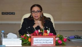 بوشارب: خلال 2021، سيتم إعطاء الأولوية للأقاليم الجنوبية