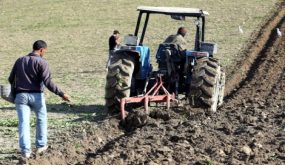 A la faveur des pr√©cipitations les agriculteurs s‚Äôactivent sur les champs dans la perspective d‚Äôune bonne campagne agricole