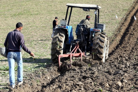 A la faveur des pr√©cipitations les agriculteurs s‚Äôactivent sur les champs dans la perspective d‚Äôune bonne campagne agricole