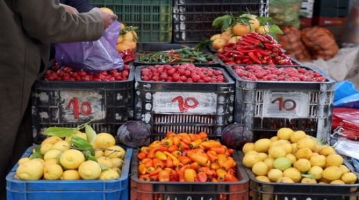 قطاع تصدير الخضر والفواكه يحقق أداء جيدا خلال الموسم الفلاحي الحالي