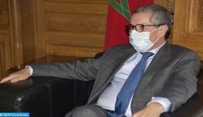 عامر: يتعين على أوروبا إظهار التزام أقوى من أجل تسوية النزاع حول الصحراء المغربية