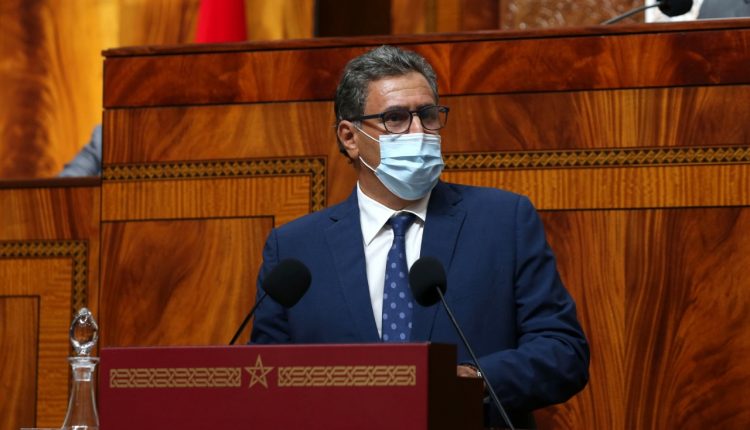 أخنوش: إطلاق عملية ترقيم 8 ملايين رأس من الأغنام والماعز الموجهة للذبح بمناسبة عيد الأضحى