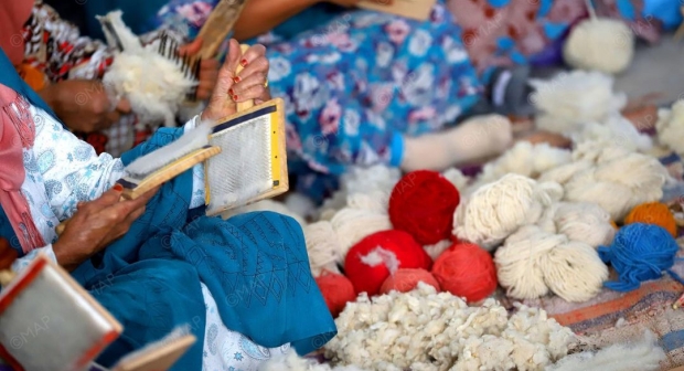 مكتب تنمية التعاون يطلق الإحصاء العام للتعاونيات بالمغرب