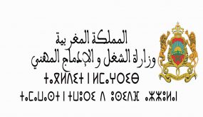 وزارة الشغل تطلق نافذة خاصة بانتخابات الأجراء على موقعها الإلكتروني