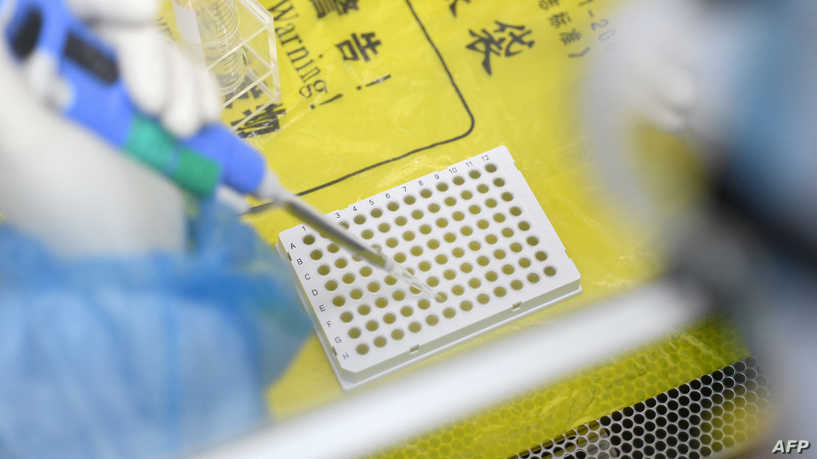 This photo taken on February 6, 2020 shows a laboratory technician working on samples from people to be tested for the new coronavirus at "Fire Eye" laboratory in Wuhan in China's central Hubei province. - BGI Group, a genome sequencing company based in southern China, said it opened on February 5 a lab in Wuhan able to test up to 10,000 people per day for the virus. The official Chinese death toll from the coronavirus outbreak rose on February 7 to 636, with the government saying total infections had climbed past 30,000. (Photo by STR / AFP) / China OUT