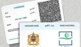 هذا ما قاله خبير عن اعتماد جواز التلقيح في فضاءات خاصة وعمومية