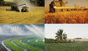 مشروع قانون مالية 2022..تنمية المجال القروي والمناطق الجبلية