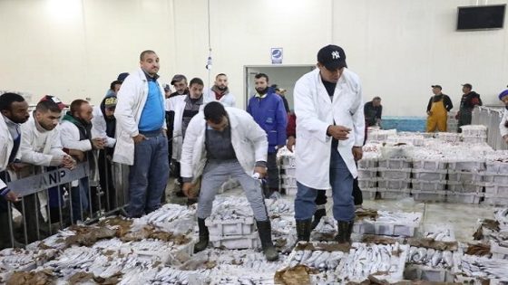 ميناء طانطان.. قيمة قياسية لمفرغات الأسماك تناهز 719 مليون درهم خلال 2021