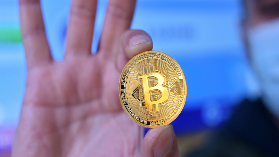 بتكوين تواصل الانهيار وتفقد أكثر من 50 في المئة من قيمتها