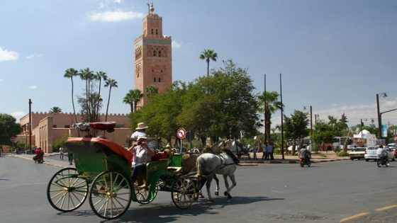 حملة لأصحاب “الكوتشي” بمراكش للتحسيس بأهمية تلقي اللقاح ضد كوفيد