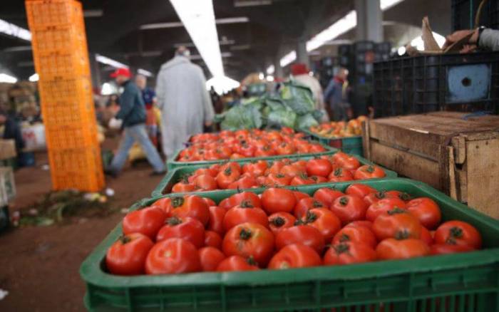 بايتاس: أسعار الطماطم ستنخفض في الأيام المقبلة