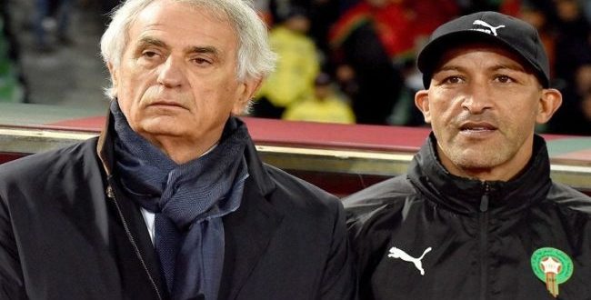 إبعاد حجي عن الطاقم التقني للأسود