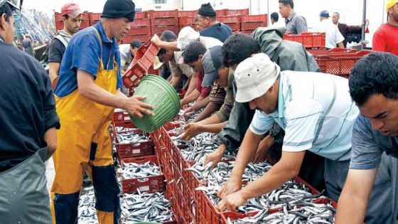 الصيد البحري.. تسويق منتجات بقيمة 10,11 مليارات درهم في 2025