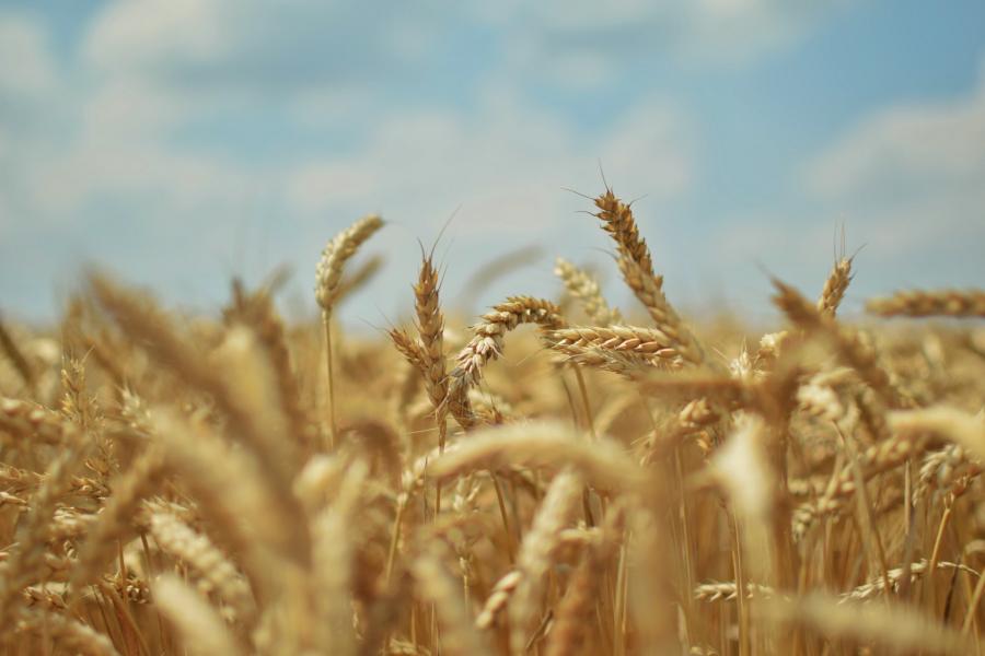 الأمين العام للأمم المتحدة يحذر من إعصار الجوع