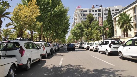 تسجيل سائقي سيارات الأجرة للاستفادة من مجانية التكوين الخاص ببطاقة السائق المهني ابتداء من 8 أبريل الجاري