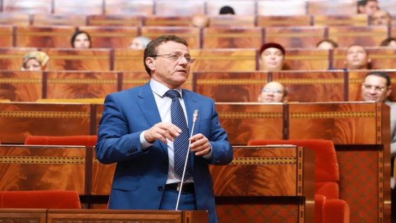 عبد الجليل: وزارة النقل واللوجستيك تسهر على توفير عرض متنوع من الخطوط البحرية والجوية لخلق ظروف المنافسة الشريفة