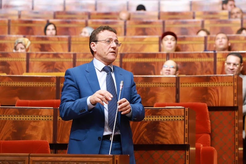 حركة النقل الجوي للمسافرين.. عبد الجليل: من المرتقب تخطي 30 مليون مسافر متم سنة 2024