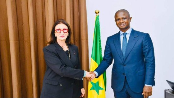 وزير: السنغال ملتزمة بالمساهمة في إنجاح مشروع خط أنابيب الغاز الاستراتيجي بين نيجيريا والمغرب