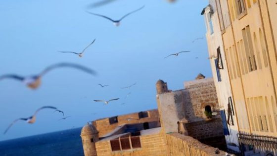 اهتمام خاص بتهيئة مواقف السيارات والساحات العمومية في إطار برنامج تأهيل المدينة العتيقة للصويرة
