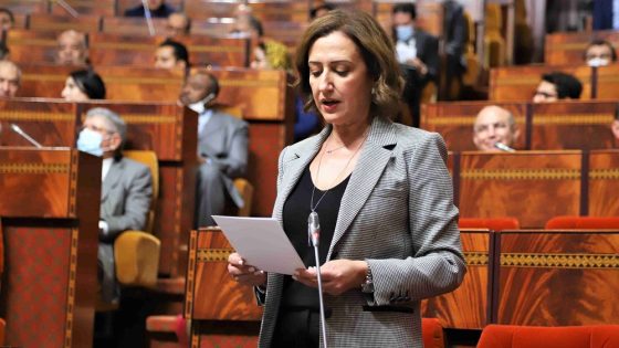 عمور: عدد المسجلين في السجل الوطني للصناعة التقليدية بلغ 395 ألفا من الصناع التقليديين