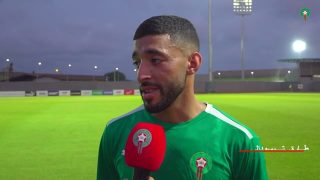 تيسودالي: نريد الفوز بكأس إفريقيا من أجل جماهيرنا (فيديو)