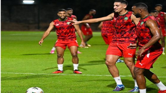 كان.. إبداعات هواة فن الغرافيك تدعم مسيرة أسود الأطلس