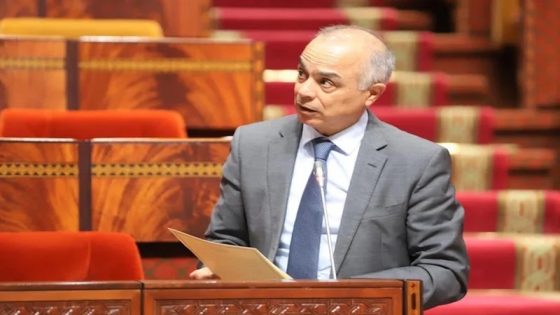 الهدر المدرسي.. بنموسى: المجهودات المبذولة في بداية السنة مكنت من إعادة 50 ألف تلميذ إلى فصول الدراسة 