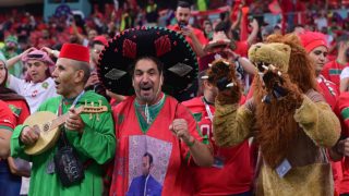 تسميات المنتخات المشاركة في أمم إفريقيا: حيوانات ضارية وجوارح فتاكة