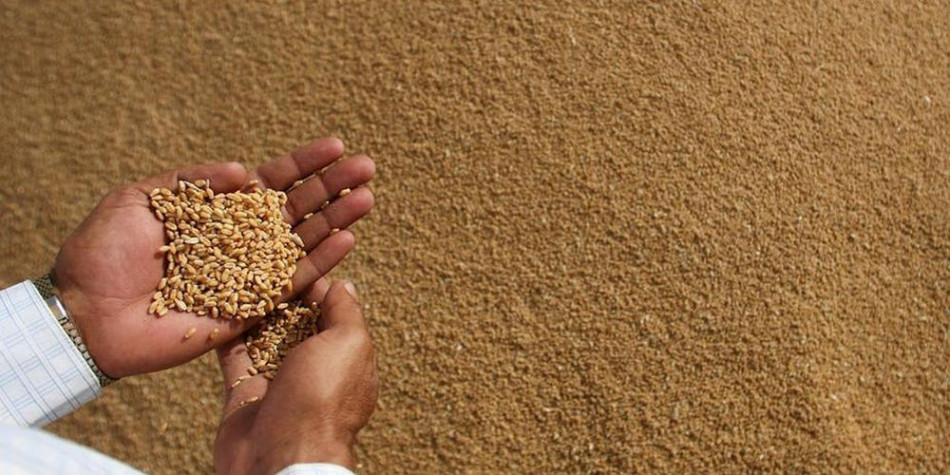 فاو: انخفاض أسعار المواد الغذائية بنسبة 13.7 في المائة
