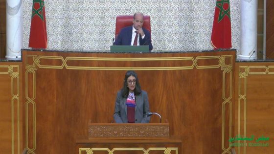 مجلس المستشارين .. إبراز الجهود الحكومية تفاعلا مع ملاحظات وتوصيات المجلس الأعلى للحسابات
