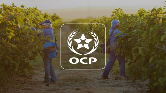 رقم معاملات مجمع الفوسفاط يتراجع إلى 91.27 مليار درهم