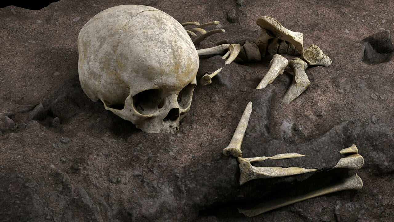 العثور على جمجمة إنسان في جماعة الرواضي بالحسيمة