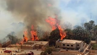 إقليم الرشيدية .. اندلاع حريق في واحة “أولاد شاكر”