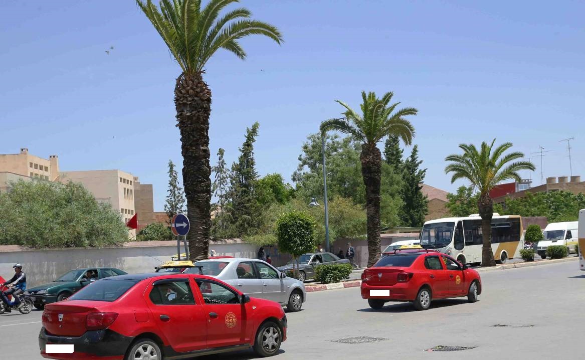 عبد الجليل: تقنين النقل عبر التطبيقات الذكية رهين بتوافق المتدخلين في النقل الجماعي على دخول هذا النوع من النقل إلى السوق