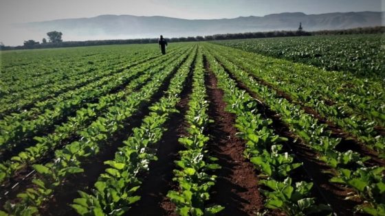 بعد سنوات من الترقب، أمطار الخير تعيد الحياة إلى الأرض بجهة بني ملال-خنيفرة