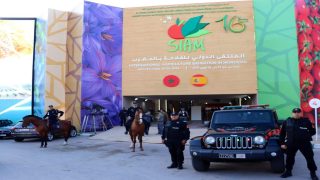 وزارة إسبانية: المعرض الدولي للفلاحة بالمغرب، أكثر المعارض الفلاحية “المرموقة” في شمال إفريقيا