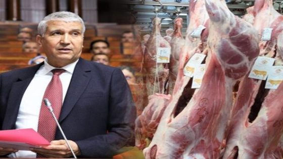 وزير الفلاحة والصيد البحري الزيادات المسجلة في أسعار اللحوم الحمراء مربوطة بتوالي سنوات الجفاف