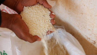 المغرب يسلم هبة من الأسمدة لصغار الفلاحين في غواتيمالا