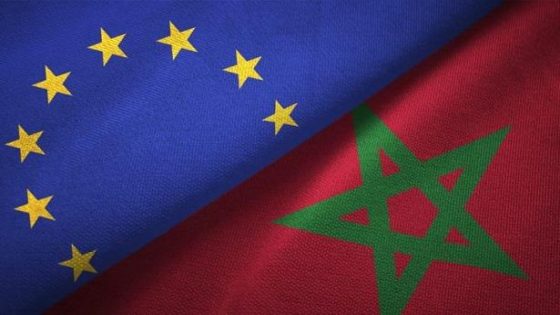 إعادة انتخاب المغرب نائبا لرئيس اللجنة التنفيذية لمركز شمال-جنوب التابع لمجلس أوروبا